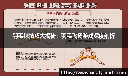 羽毛球技巧大揭秘：羽毛飞扬游戏深度剖析